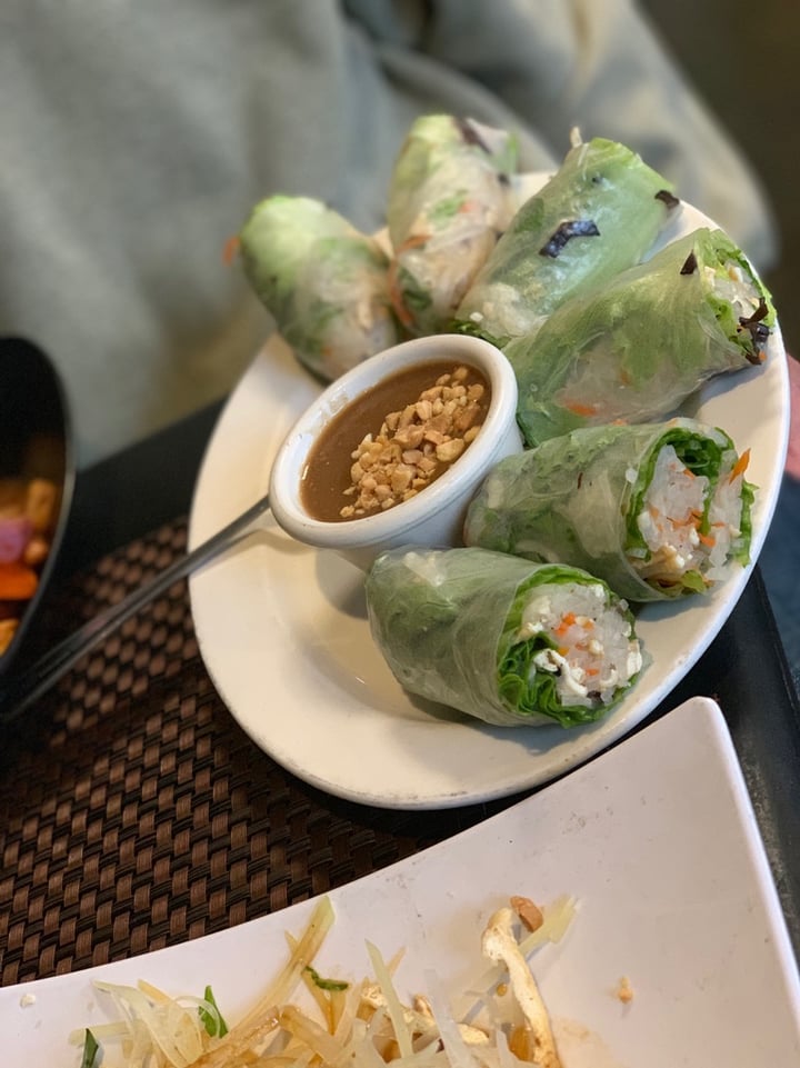 photo of The Green Barn Restaurant Spring Rolls shared by @thenutritionprof on  25 Feb 2019 - review