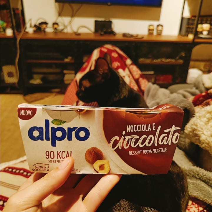 photo of Alpro Chocolate Hazelnut dessert shared by @headlessdoll on  25 Nov 2021 - review