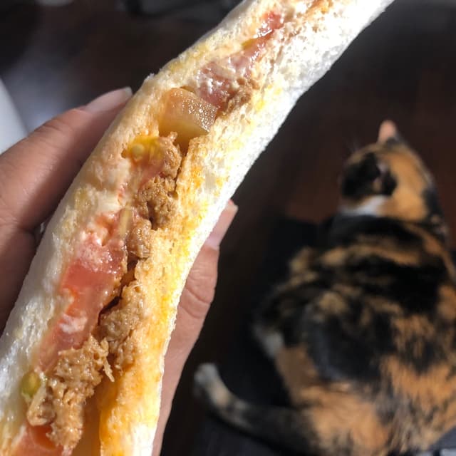 菜肴“Tramezzino tonno e pomodoro”的照片