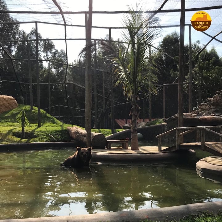 review photo shared by @ranchodosgnomos on 26 Apr 2022 - post