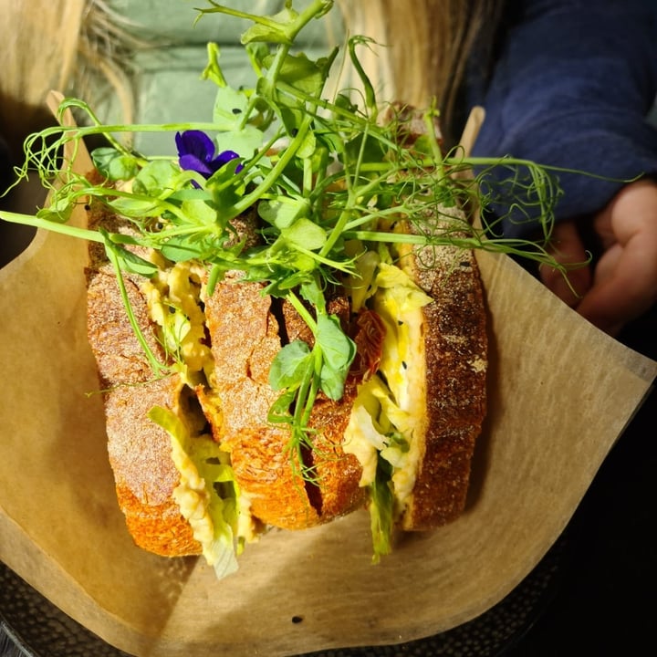 photo of Barefaced Food Hummous Falafal Sandwich shared by @lanakane on  28 Oct 2022 - review