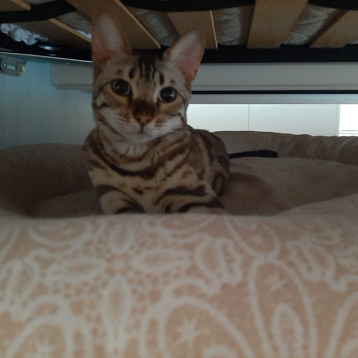 review photo shared by @erypat on 07 Apr 2022 - post