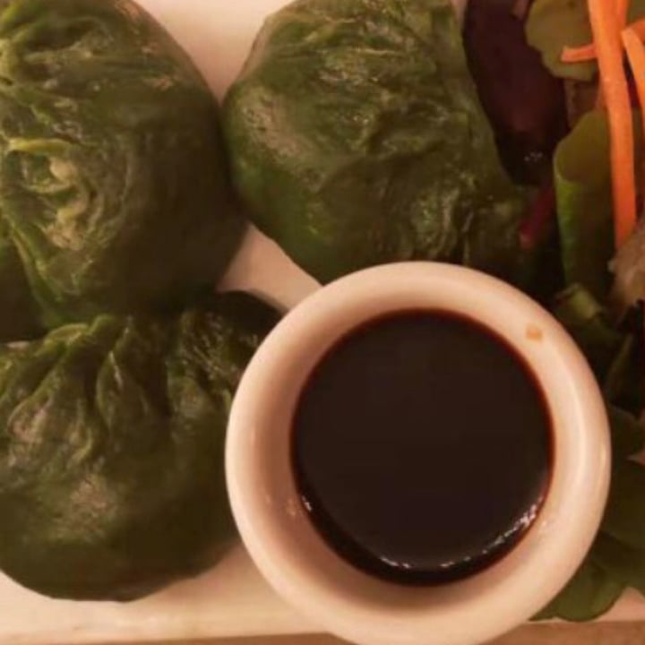 review photo of Red Bamboo Asian Dumplings shared by @jade66 on 14 May 2020 - review