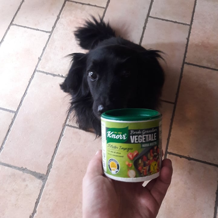 photo of Knorr Brodo granulare vegetale shared by @giuliacarosio on  07 Aug 2021 - review