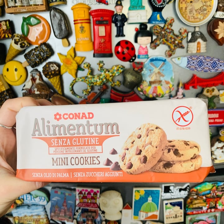 photo of Conad Mini Cookies Vegan & Senza Glitine shared by @elisabi on  24 Apr 2021 - review