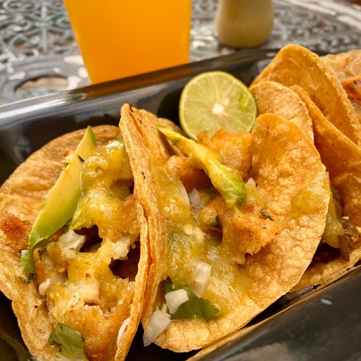 photo of VeganMunch Tacos Veganos shared by @jourbano on  04 Dec 2019 - review