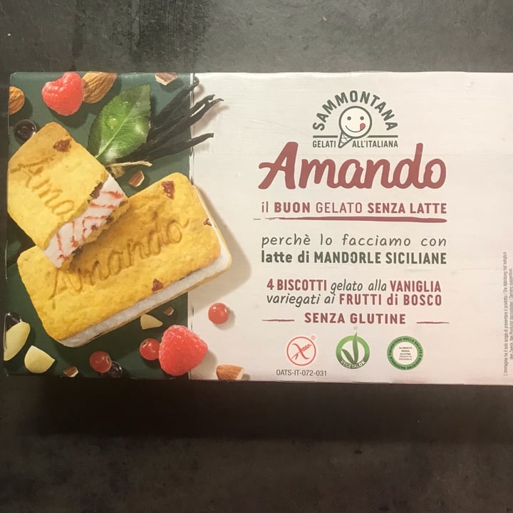 photo of Sammontana Amando biscotti gelato alla vaniglia variegato ai frutti di bosco shared by @manulela13 on  03 Jun 2022 - review