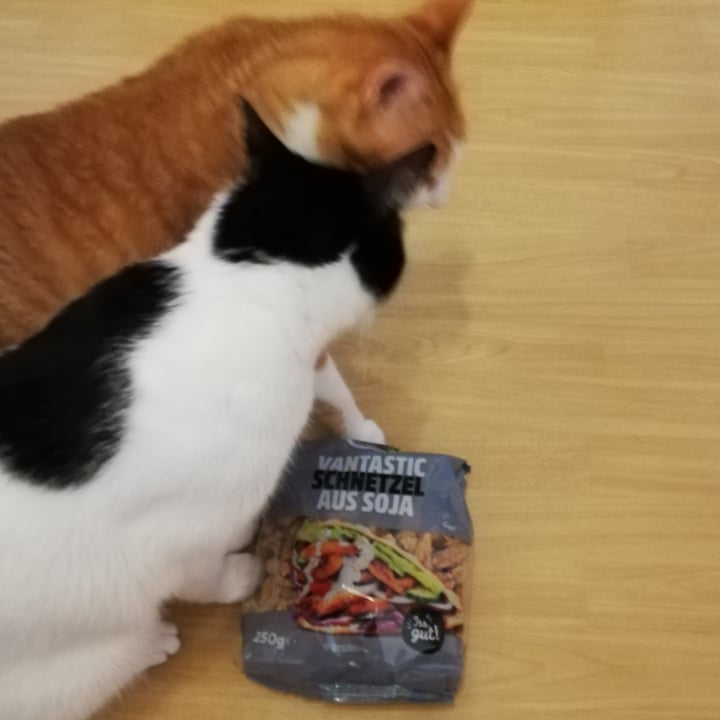 Vantastic Foods Soja Review abillion