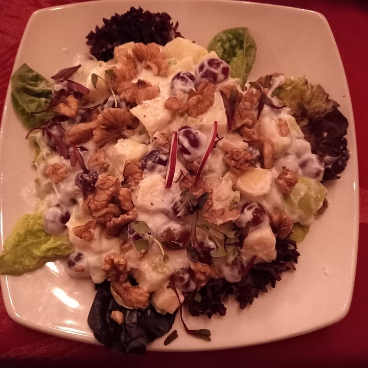 photo of Kagga Kamma Nature Reserve Vegan Waldorf Salad shared by @mariskar on  20 Aug 2021 - review