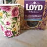 Loyd