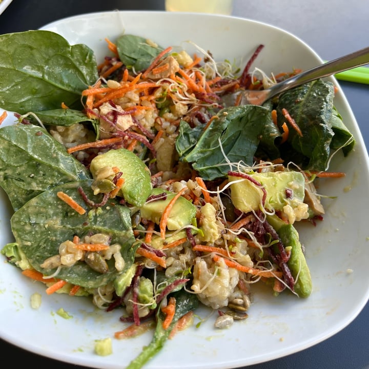 photo of Communitea Cafe Buddha Bowl shared by @driddel on  28 Jul 2022 - review