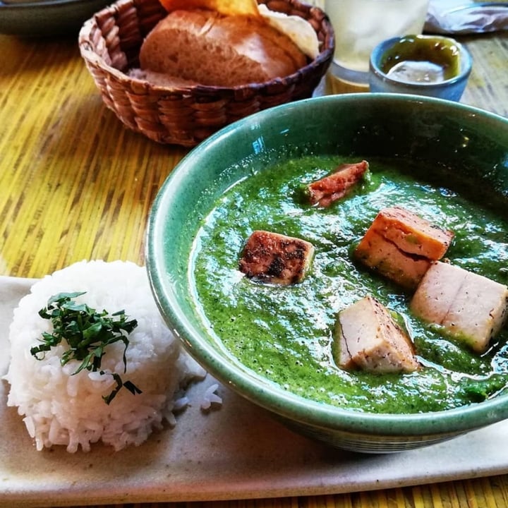 photo of Ecos del Mundo Curry Verde shared by @yogamiyu on  20 Oct 2020 - review