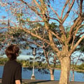 yunnbritney @yunnbritney profile image