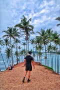 thevegandaddy @thevegandaddy profile image