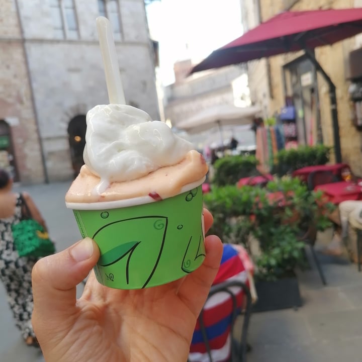 photo of Bar Centrale gelato limone basilico shared by @veggymitzy on  04 Jul 2022 - review