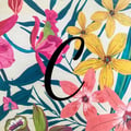 @coucou profile image