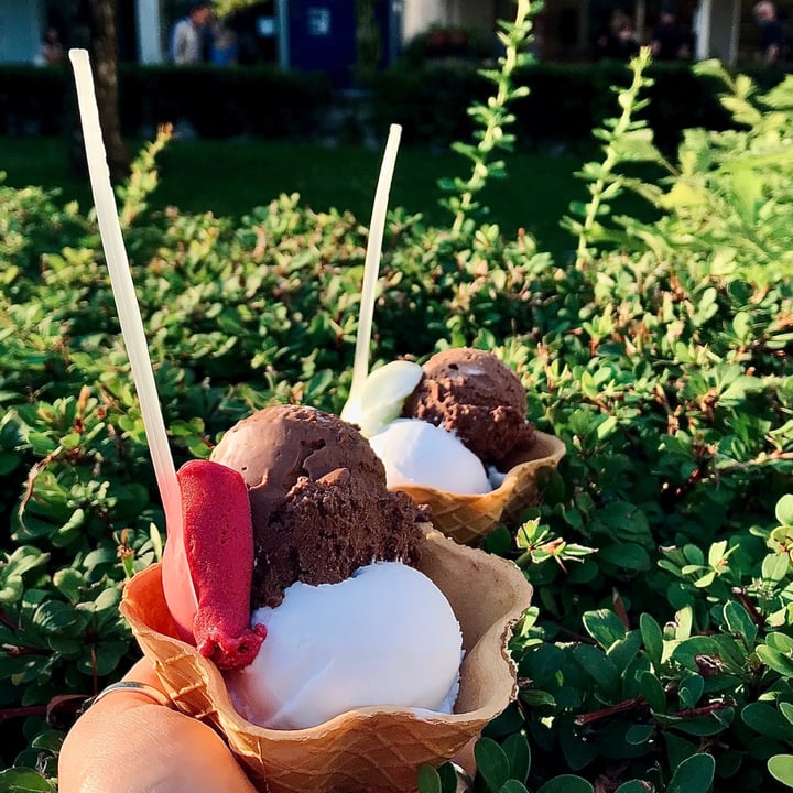 review photo of Ballabeni Icecream Werkstatt Vegan ice cream shared by @brombeerwal on 23 Jul 2020 - review