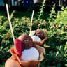 Ballabeni Icecream Werkstatt