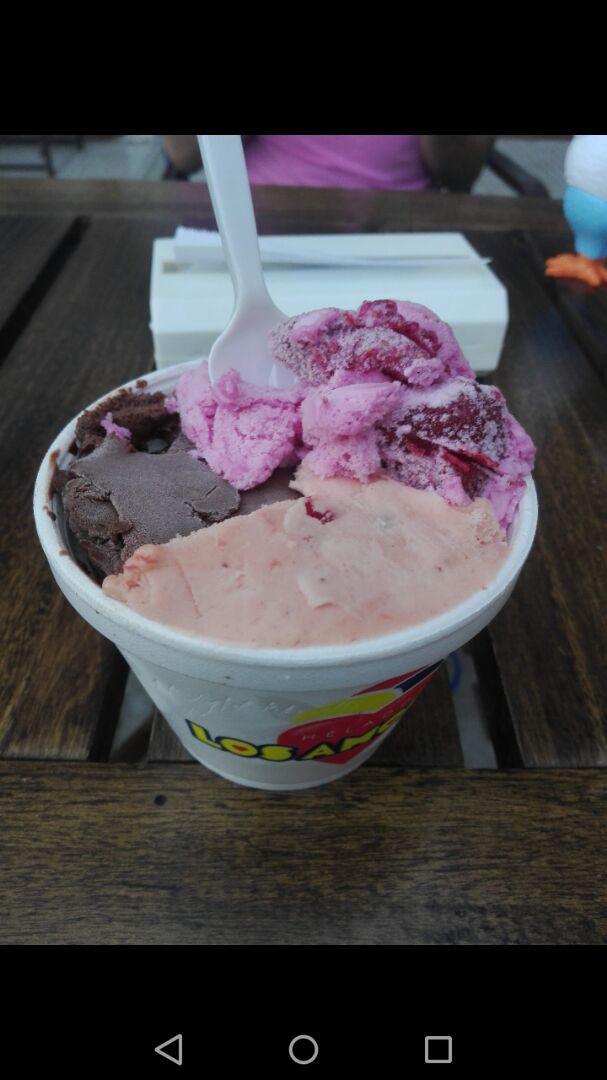 photo of Heladería Los Amores Helado vegano shared by @ximena on  08 Aug 2019 - review