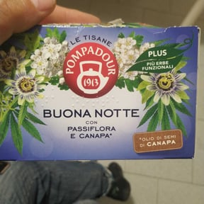 POMPADOUR Le Tisane Buona Notte con Passiflora e Canapa 39,6 GR Con olio di  semi di canapa. - Basko