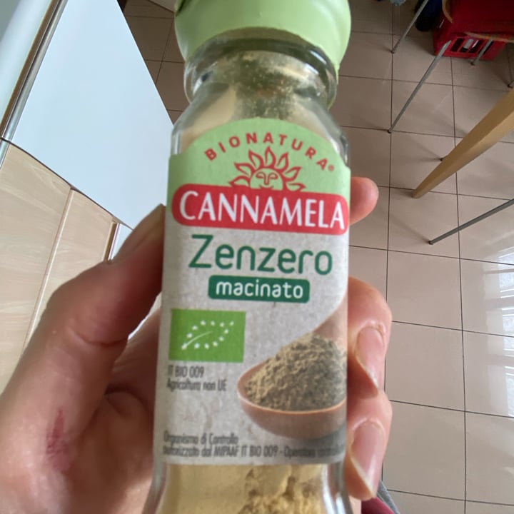 photo of Cannamela Zenzero Liofilizzato shared by @alebk on  07 Apr 2022 - review