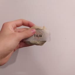 Tilia