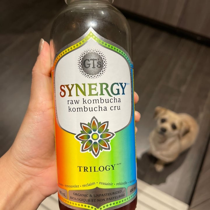 photo of Synergy Trilogy Organic Kombucha shared by @dbergamo on  23 May 2022 - review