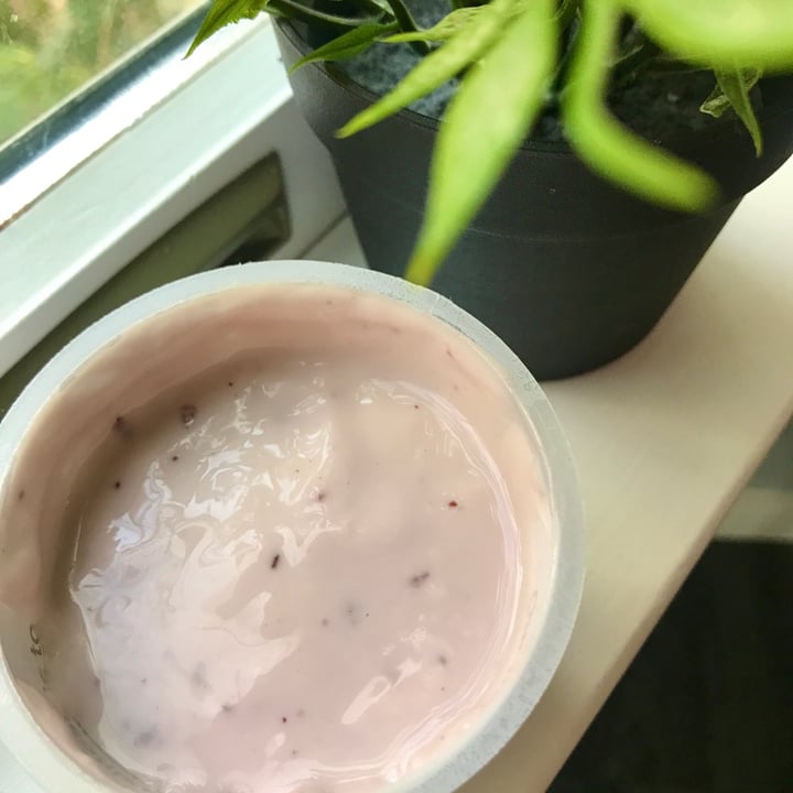 photo of Forager Project Blueberry Cashewmilk Yogurt shared by @michael93l on  06 Dec 2020 - review