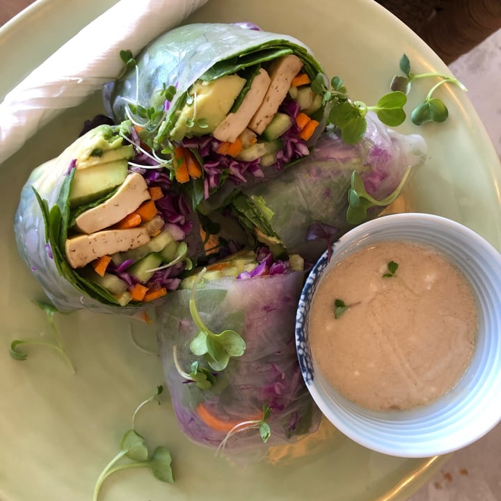photo of The Conscious Kitchen Vietnamese Summer Rolls shared by @phillipamitchell on  31 Oct 2021 - review