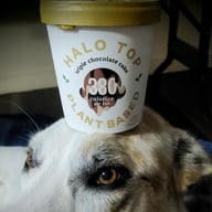 Halo top plant based