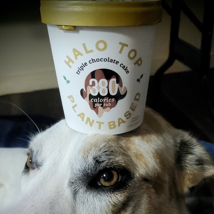 photo of Halo top plant based Triple Chocolate Cake shared by @itsjustmel on  19 Jan 2022 - review