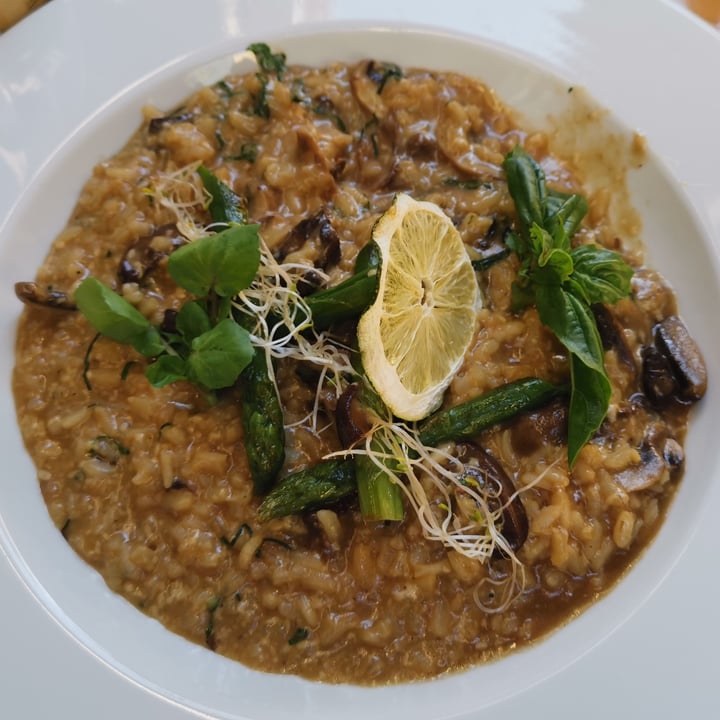 review photo of Il Paparazzo Risotto de setas shared by @ilustrapets on 08 Mar 2022 - review