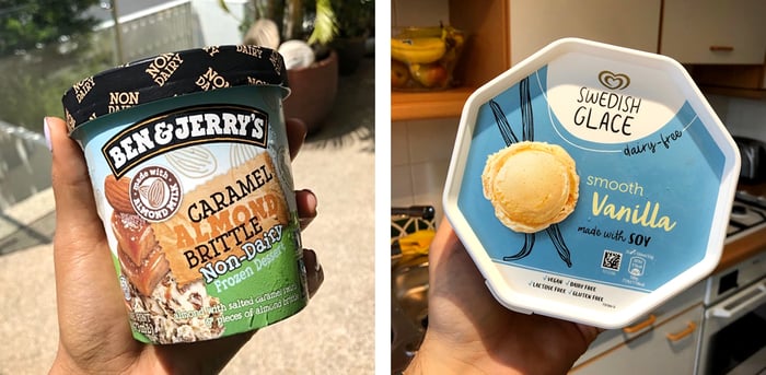 best plant-based ice cream