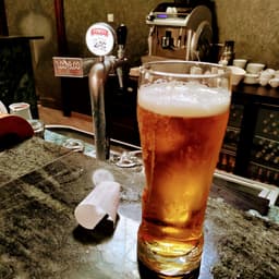 Zywiec