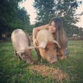 falkenmayerkaren @falkenmayerkaren profile image