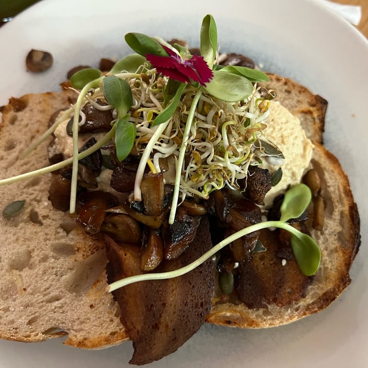 photo of Blue Kiwi hummus Herb toasted Mushrooms and toasted Seeds And sprouts shared by @moosette on  21 Oct 2022 - review