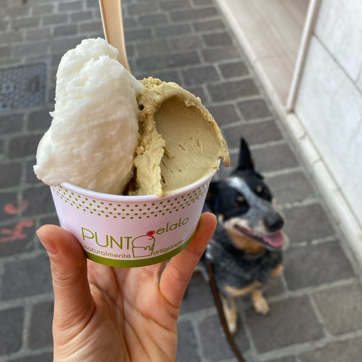 photo of Punto gelato naturale Pistacchio e limone shared by @ellielli on  28 Mar 2022 - review