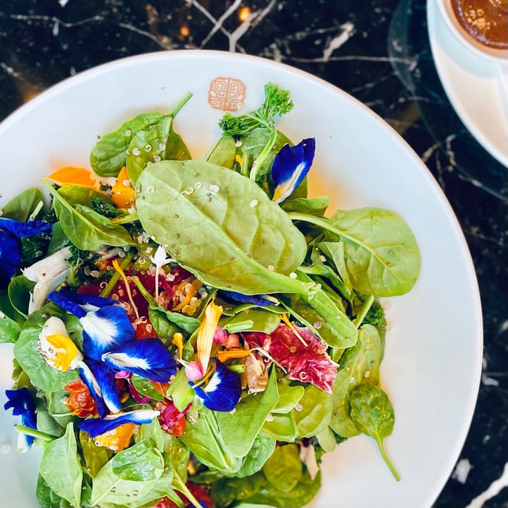 photo of 1880 Singapore Superfood Salad shared by @vikas on  16 Oct 2021 - review