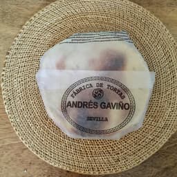 Andrés Gaviño