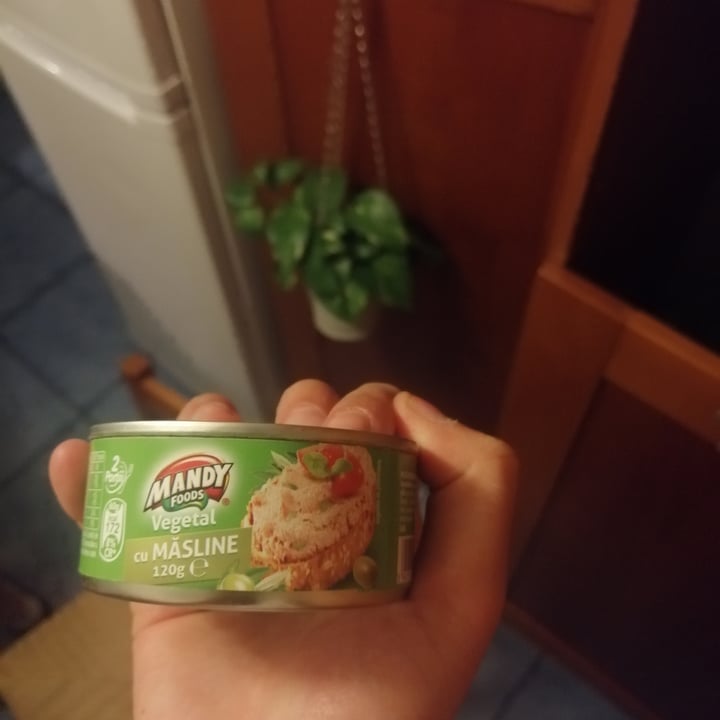 review photo of Mandy Foods Mandy vegetal shared by @55alex97 on 20 Apr 2021 - review