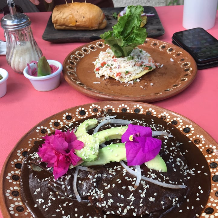 review photo of EL RINCON DE EL MANATI Mole shared by @kajamai on 06 Dec 2020 - review