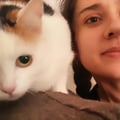 auroragiovannetti @auroragiovannetti profile image