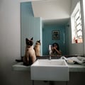 floresvioletas @floresvioletas profile image