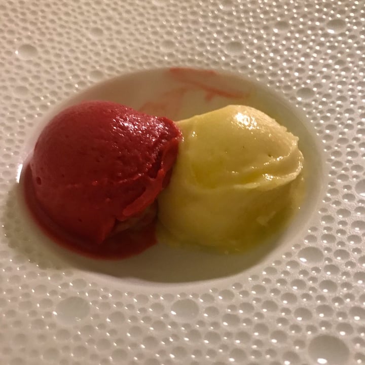 photo of Mater Terrae Sorbetto Lampone E Mango shared by @saradiv on  20 Jan 2022 - review