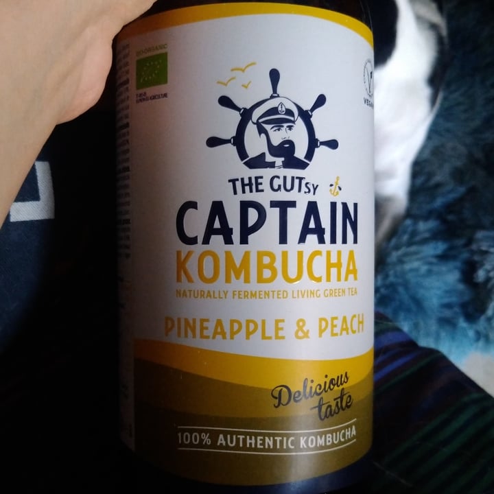 photo of The Gutsy Captain Kombucha pineapple & peach shared by @theandalusianqueer on  25 Jul 2021 - review