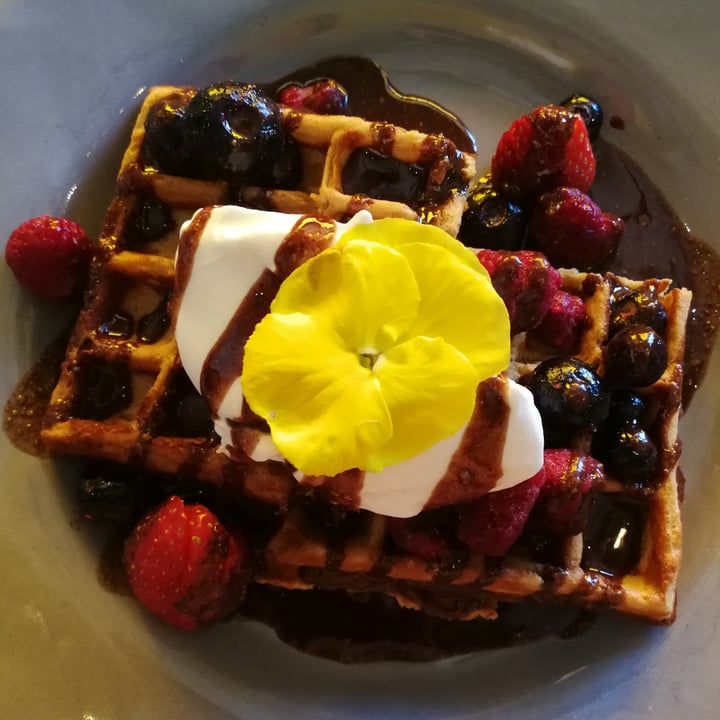 photo of Lexi's Healthy Eatery Vanilla Power Waffles shared by @yuyubunny on  10 Aug 2020 - review