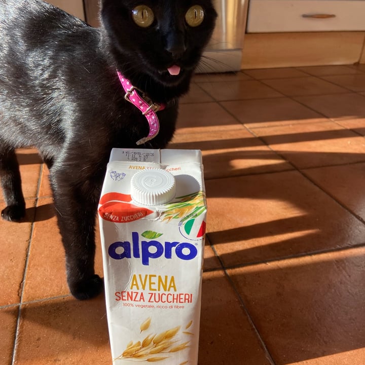 photo of Alpro Avena Senza Zuccheri shared by @valeeeematteiiii04 on  15 Oct 2022 - review