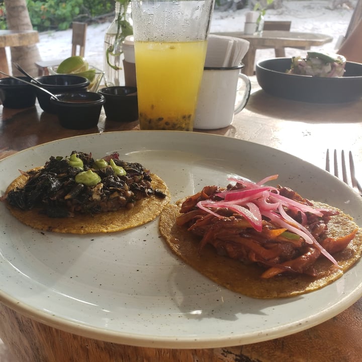 photo of Maia Restaurant Tacos de huitlacoche y setas pibil shared by @pauchahin on  03 Aug 2020 - review