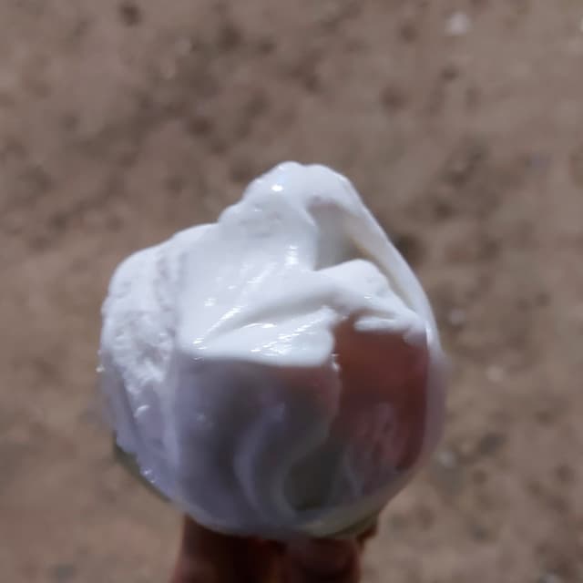 Foto del piatto “gelato chantilly”