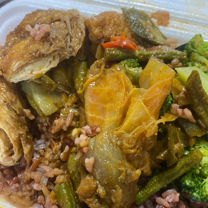 photo of eVeg Vegetarian 1 veg 1 mock meat with rice shared by @peasfulpea on  01 Dec 2020 - review